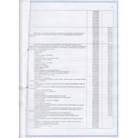 Иглы для прошивки документов (игла цыганская), комплект 25 шт., размер 10 см, бумажная упаковка, N-270