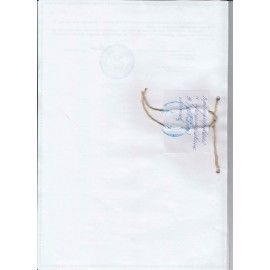 Иглы для прошивки документов (игла цыганская), комплект 10 шт., размер 10 см, блистер, N-215