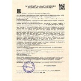 Точилка BRAUBERG 24 шт. &quot;Rewind&quot;, с контейнером, пластиковая, корпус ассорти, 228468