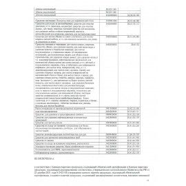 Бейдж горизонтальный (60х90 мм), на зеленой ленте 45 см, BRAUBERG 5 шт., 231153
