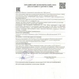Столик складной для ноутбука/завтрака BRABIX BT-001 (600х400х265 мм), органайзер, черный, 532899
