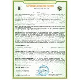 Набор для раскопок "Древний Рим" 16х23 см, инструменты, BRAUBERG KIDS, 665937