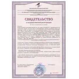 Гель для стирки для всех видов тканей 2,75 л SYNERGETIC, гипоаллергенный, 109275