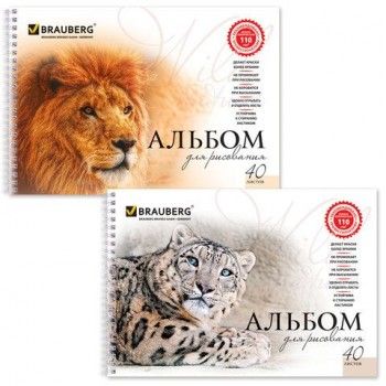 Альбом для рисования, А4, 40 листов, гребень, обложка картон, BRAUBERG 2 шт., 205х290 мм, "Благородные кошки" (2 вида), 102831