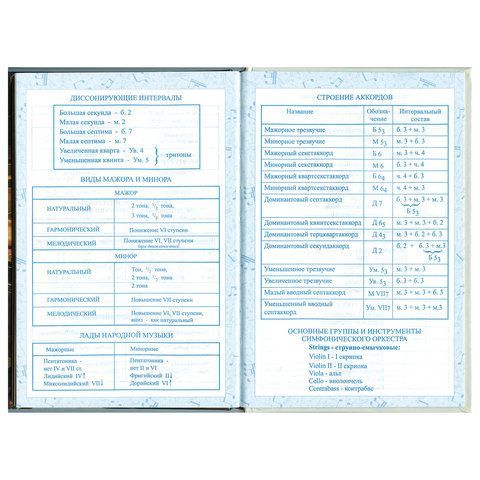 Дневник для музыкальной школы 140х210 мм, 48 л., твердый, BRAUBERG, справочный материал, &quot;Концерт&quot;, 103279