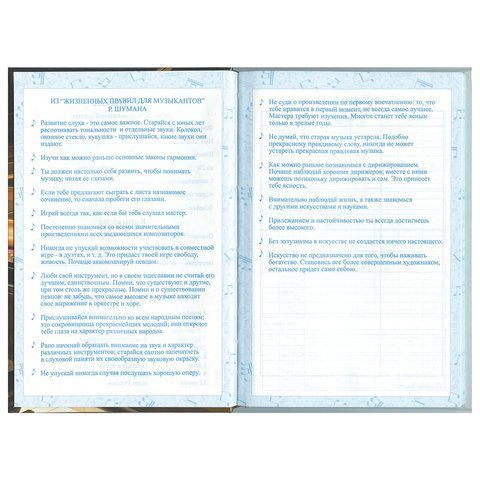 Дневник для музыкальной школы 140х210 мм, 48 л., твердый, BRAUBERG, справочный материал, &quot;Концерт&quot;, 103279