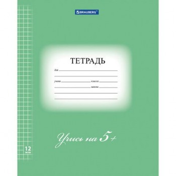 Тетрадь 12 л. BRAUBERG ЭКО "5-КА", клетка, обложка плотная мелованная бумага, ЗЕЛЕНАЯ, 104759