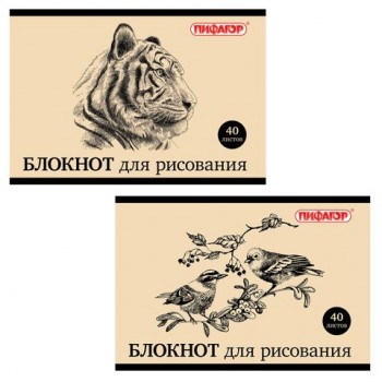 Блокнот для рисования, А4, 40 л., скоба, обложка офсет, горизонтальный, ПИФАГОР 3 шт., 200х285 мм, "Дикий мир", 2 вида, 104874