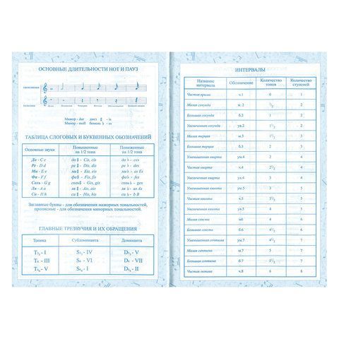 Дневник для музыкальной школы 140х210 мм, 48 л., твердый, BRAUBERG, справочный материал, &quot;Музыка&quot;, 104975