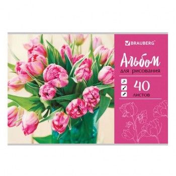 Альбом для рисования А4 40 листов, скоба, обложка картон, BRAUBERG 3 шт., 202х285 мм, "Тюльпаны" (1 вид), 105088