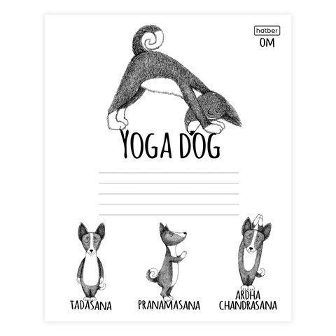 Тетрадь 24 л., HATBER 20 шт., клетка, обложка картон, &quot;Animals Yoga&quot; (5 видов), 24Т5В1