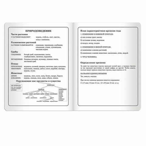 Дневник 1-4 класс 48 л., кожзам (гибкая), печать, фольга, ЮНЛАНДИЯ, &quot;РУСАЛКА&quot;, 105472