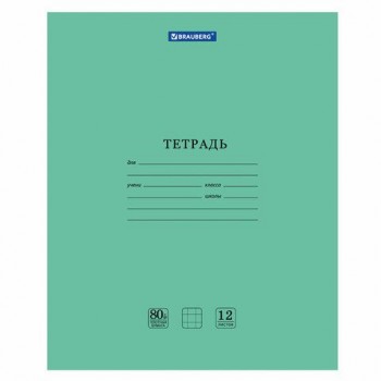 Тетрадь BRAUBERG 20 шт. "EXTRA" 12 л., клетка, плотная бумага 80 г/м2, обложка картон, 105706