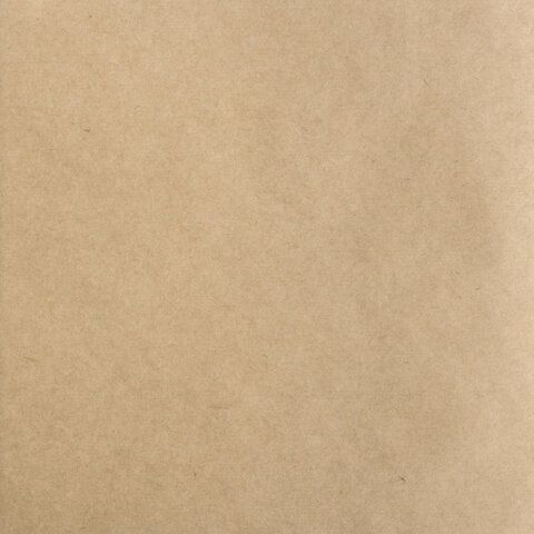 Альбом для рисования, крафт-бумага 70 г/м2, 198х198 мм, 40 л., склейка, BRAUBERG ART CLASSIC, 105912