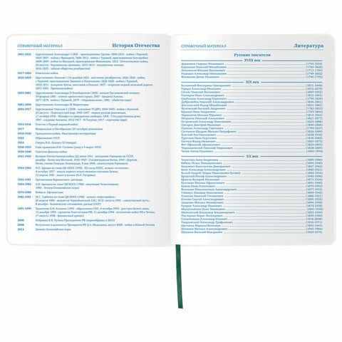 Дневник 1-11 класс 48 л., обложка кожзам (гибкая), печать, фольга, BRAUBERG, &quot;МИЛИТАРИ&quot;, 105975