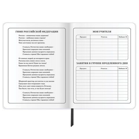 Дневник 1-4 класс 48 л., кожзам (гибкая), печать, фольга, ЮНЛАНДИЯ, &quot;Football&quot;, 106159