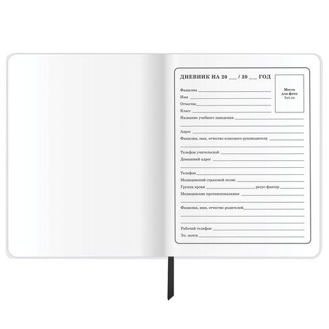 Дневник 1-4 класс 48 л., кожзам (гибкая), печать, фольга, ЮНЛАНДИЯ, &quot;Football&quot;, 106159