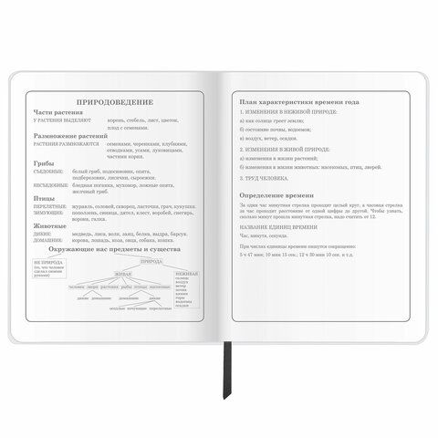 Дневник 1-4 класс 48 л., кожзам (гибкая), печать, фольга, ЮНЛАНДИЯ, &quot;Крутой Байк&quot;, 106162