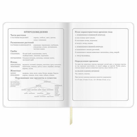 Дневник 1-4 класс 48 л., кожзам (гибкая), печать, фольга, ЮНЛАНДИЯ, &quot;Панда&quot;, 106165
