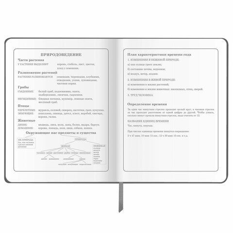 Дневник 1-4 класс 48 л., кожзам (твердая), печать, аппликация, ЮНЛАНДИЯ, &quot;Truck Race&quot;, 106195