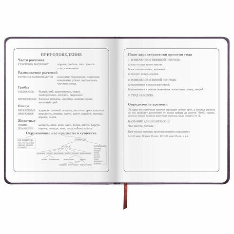 Дневник 1-4 класс 48 л., кожзам (твердая), печать, аппликация, ЮНЛАНДИЯ, &quot;Сладкоежка&quot;, 106196