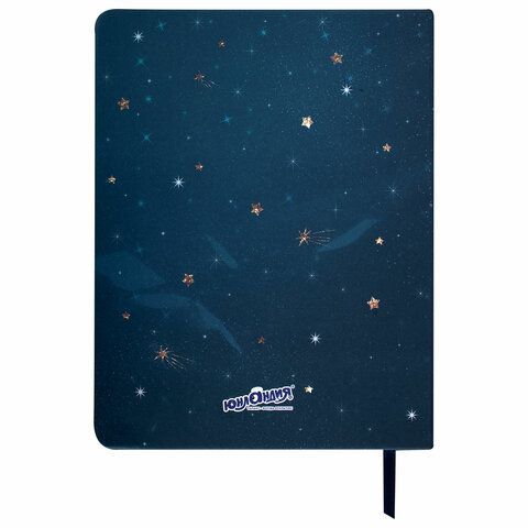 Дневник 1-11 класс 48 л., кожзам (твердая), печать, глиттер, ЮНЛАНДИЯ, &quot;Space Avo&quot;, 106201