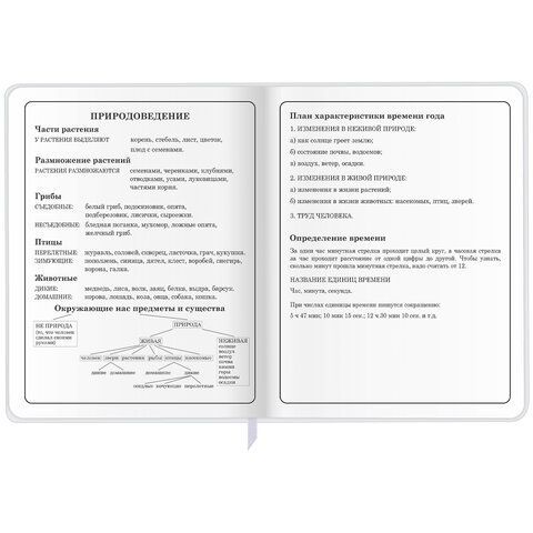 Дневник 1-4 класс 48 л., кожзам (гибкая), печать, фольга, ЮНЛАНДИЯ, &quot;Лисёнок&quot;, 106216