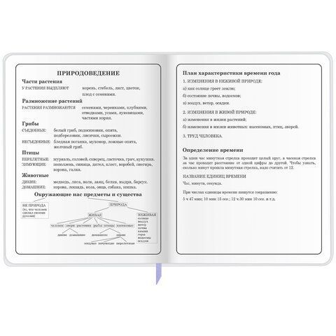 Дневник 1-4 класс 48 л., кожзам (гибкая), печать, фольга, ЮНЛАНДИЯ, &quot;Ёжики&quot;, 106217