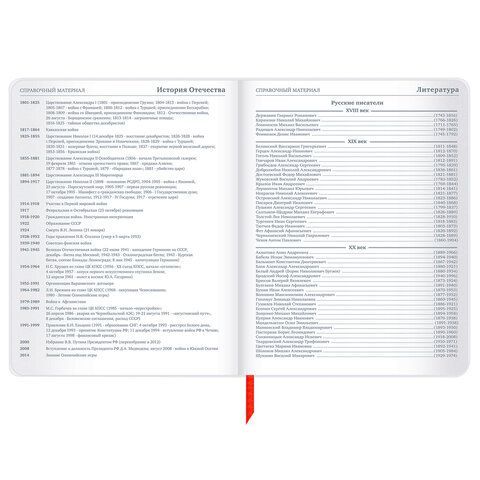 Дневник 1-11 класс 48 л., кожзам (гибкая), печать, фольга, BRAUBERG, &quot;Гранаты&quot;, 106222