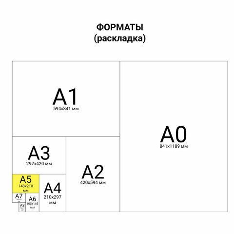 Тетрадь ЗЕЛЁНАЯ обложка 12 л., клетка с полями, офсет, &quot;ПЗБМ&quot;, 19995