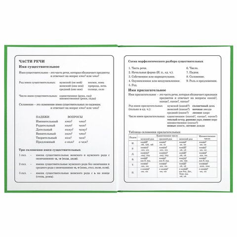 Дневник 1-4 класс 48 л., твердый, BRAUBERG, глянцевая ламинация, с подсказом, &quot;Авокадики&quot;, 106359