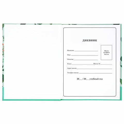 Дневник 1-4 класс 48 л., твердый, BRAUBERG, глянцевая ламинация, с подсказом, &quot;Ленивцы&quot;, 106361