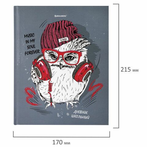 Дневник 1-11 класс 40 л., твердый, BRAUBERG, глянцевая ламинация, &quot;Cool Owl&quot;, 106371