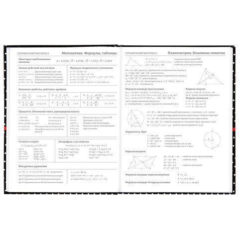 Дневник 5-11 класс 48 л., твердый, BRAUBERG, глянцевая ламинация, с подсказом, &quot;Стиль&quot;, 106392