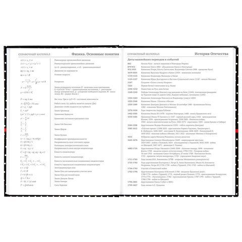 Дневник 5-11 класс 48 л., твердый, BRAUBERG, глянцевая ламинация, с подсказом, &quot;Стиль&quot;, 106392