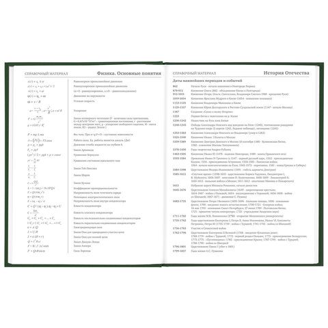 Дневник 5-11 класс 48 л., твердый, BRAUBERG, глянцевая ламинация, с подсказом, &quot;Freestyle&quot;, 106395