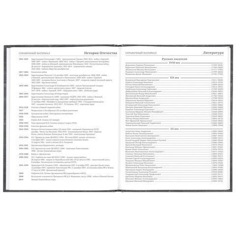 Дневник 5-11 класс 48 л., твердый, BRAUBERG, фольга, с подсказом, &quot;Музыка&quot;, 106418