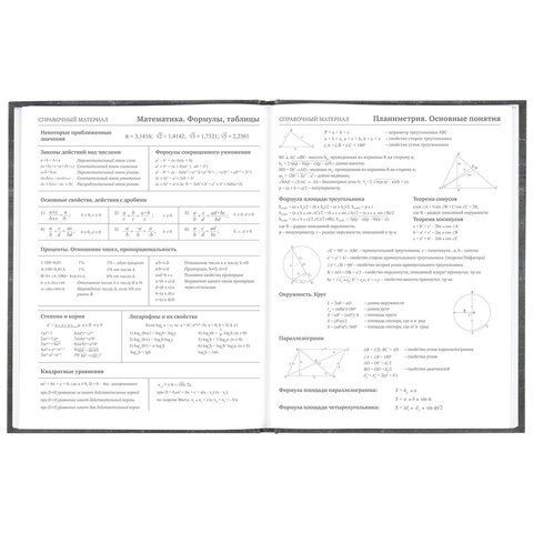 Дневник 5-11 класс 48 л., твердый, BRAUBERG, фольга, с подсказом, &quot;Музыка&quot;, 106418