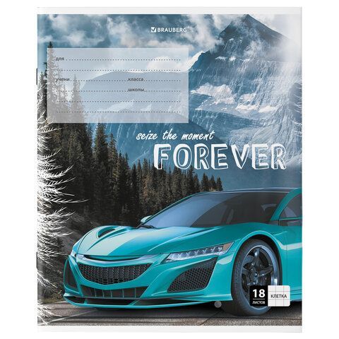 Тетрадь 18 л. BRAUBERG 20 шт. клетка, обложка картон, &quot;SPORTS CAR&quot;, 106479
