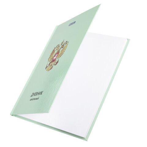 Дневник 1-11 класс 48 л., твердый, BRAUBERG, глянцевая ламинация, с подсказом, &quot;Символика&quot;, 106600