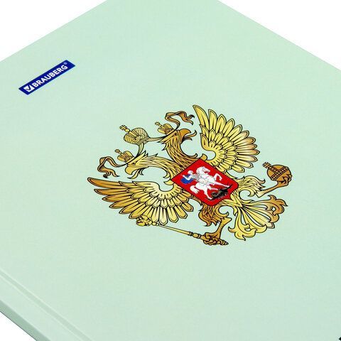 Дневник 1-11 класс 48 л., твердый, BRAUBERG, глянцевая ламинация, с подсказом, &quot;Символика&quot;, 106600