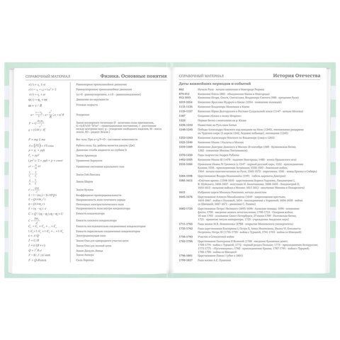 Дневник 1-11 класс 48 л., твердый, BRAUBERG, блестки, с подсказом, &quot;Котик&quot;, 106606