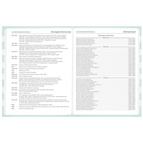 Дневник 1-11 класс 48 л., твердый, BRAUBERG, блестки, с подсказом, &quot;Котик&quot;, 106606