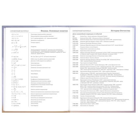 Дневник 1-11 класс 48 л., твердый, BRAUBERG, блестки, с подсказом, &quot;Корги&quot;, 106607