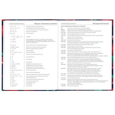 Дневник 5-11 класс 48 л., твердый, BRAUBERG, глянцевая ламинация, с подсказом, &quot;Гранаты&quot;, 106621
