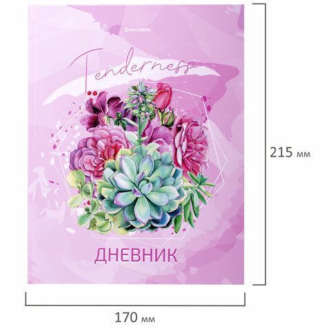 Дневник 5-11 класс 48 л., твердый, BRAUBERG, глянцевая ламинация, с подсказом, &quot;Кактусы&quot;, 106628