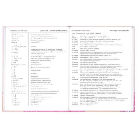 Дневник 5-11 класс 48 л., твердый, BRAUBERG, глянцевая ламинация, с подсказом, &quot;Летний&quot;, 106631