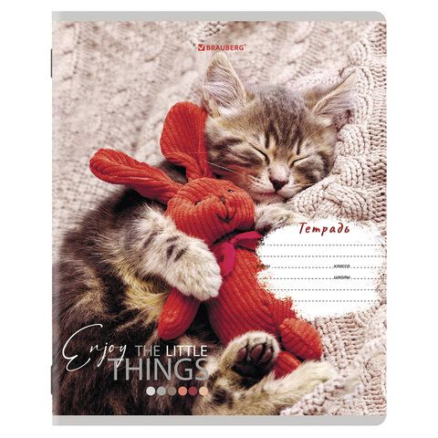 Тетради 12 л. КОМПЛЕКТ 10 шт. BRAUBERG, клетка, обложка картон, ПИТОМЦЫ, 106663