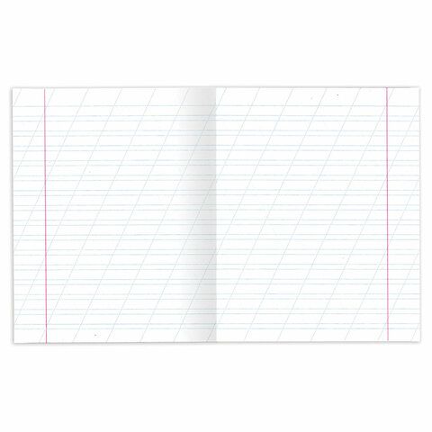 Тетради ДЭК 12 л. КОМПЛЕКТ 10 шт. с ЗЕЛЁНОЙ обложкой, ЮНЛАНДИЯ, косая линия, 106748