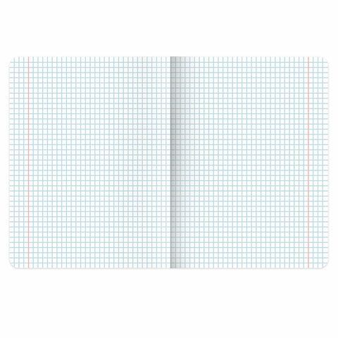 Тетради ДЭК 18 л. КОМПЛЕКТ 10 шт., BRAUBERG, клетка, обложка картон, Футбол, 106756